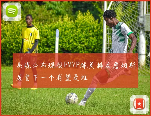 美媒公布现役FMVP球员排名詹姆斯居首下一个有望是谁